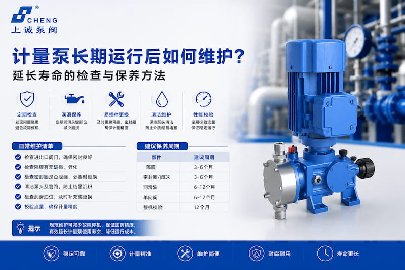 计量泵长期运行后如何维护？延长寿命的检查与保养方法
