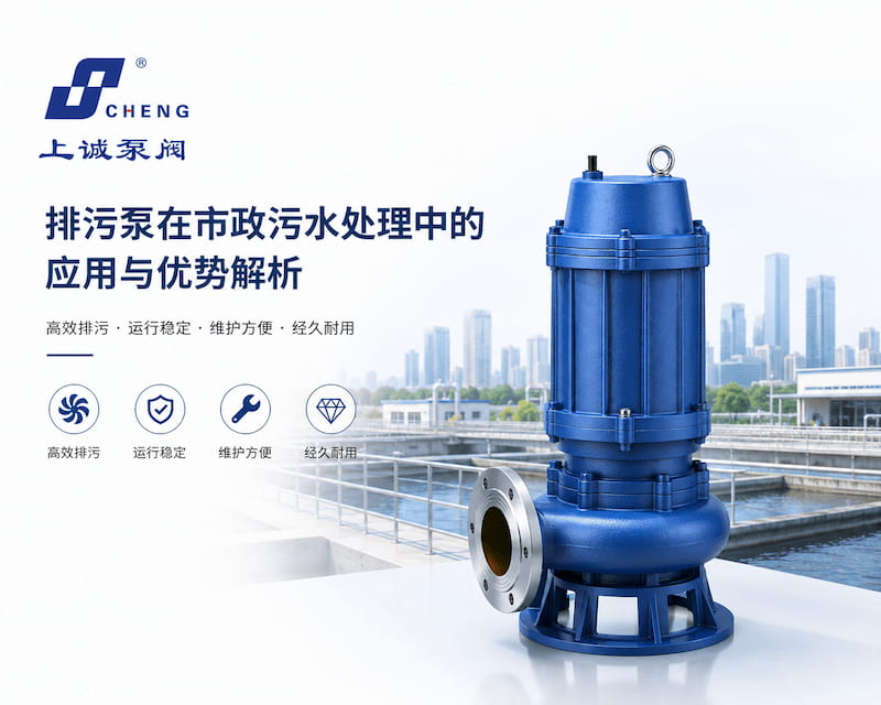 排污泵在市政污水处理中的应用与优势 - 上海上诚泵阀